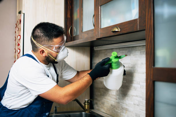 Wasp Removal Services in Harlan, IN