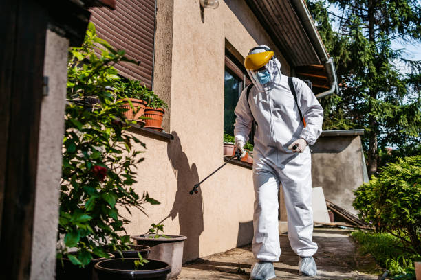 Best Pest Prevention Services  in Harlan, IN