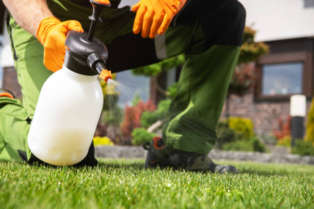Best Affordable Pest Control Services  in Harlan, IN