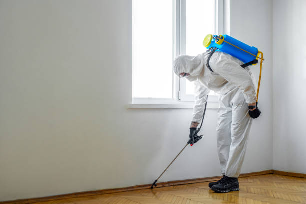 Trusted Harlan, IN Pest Control Experts