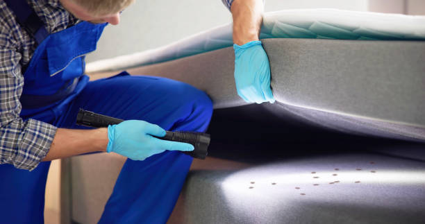 Best Exterminator Services  in Harlan, IN