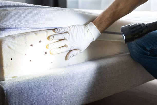Best Pest Removal Services  in Harlan, IN