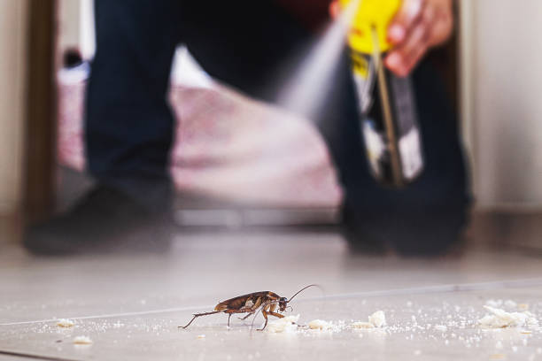 Best Emergency Pest Control  in Harlan, IN