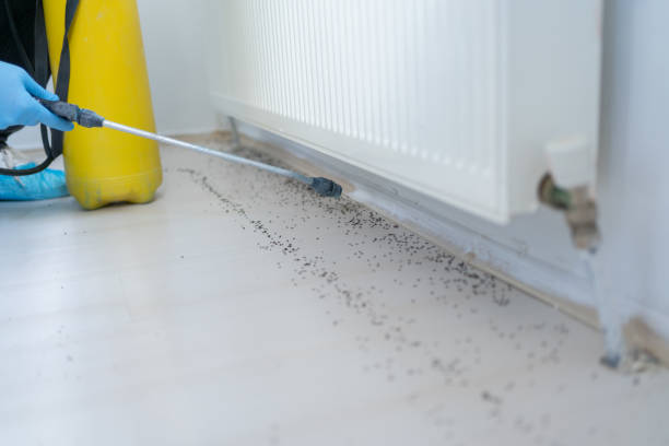 Best Pest Control Treatment  in Harlan, IN